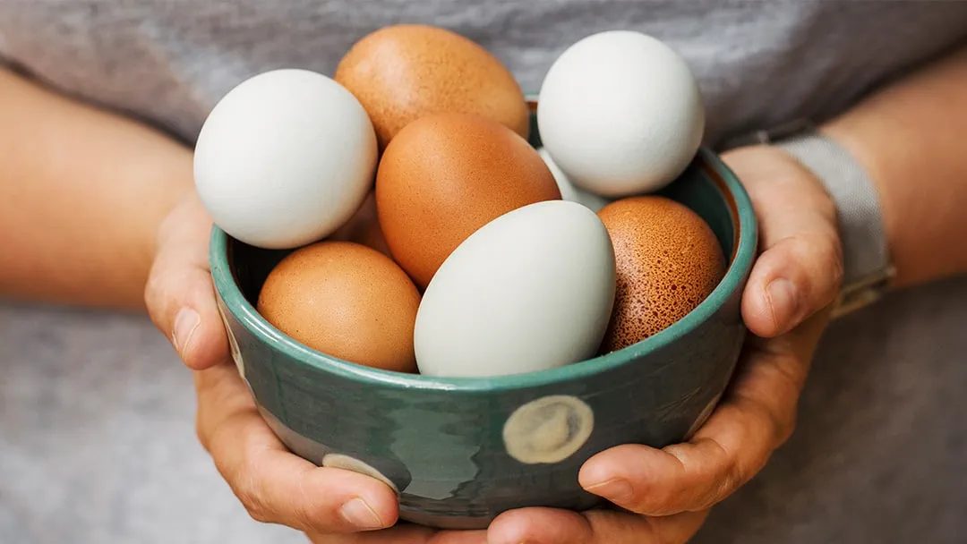Are Eggs Good or Bad Cholesterol? | The Truth About Cholesterol in Diet