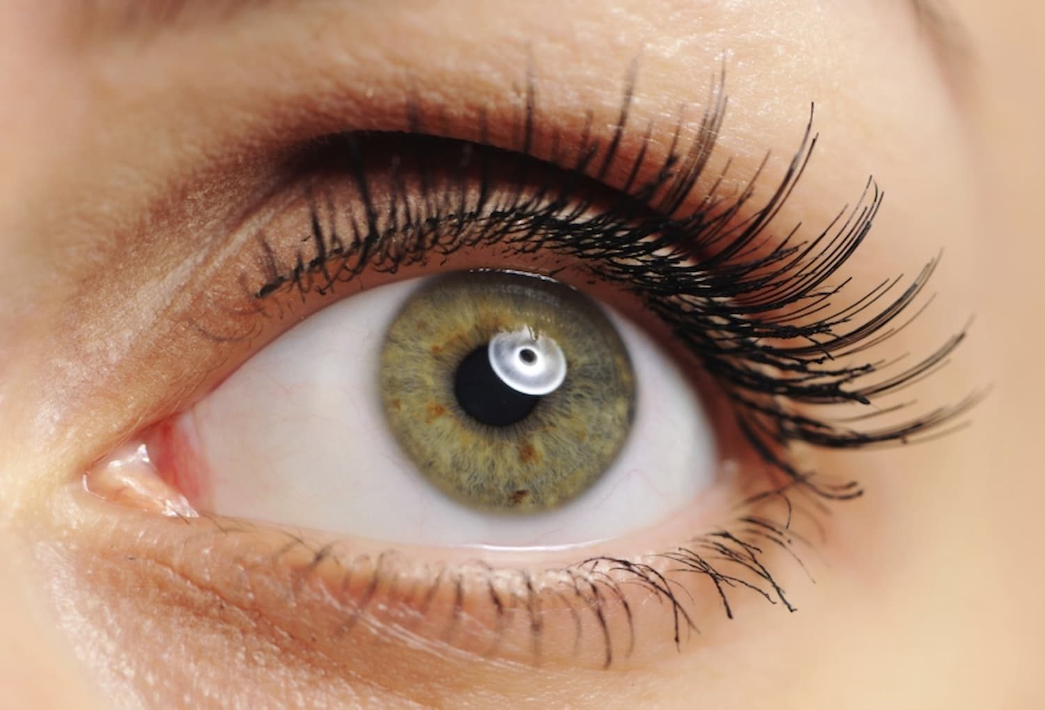 What You Eat and How It Shapes Your Vision | Eyes Health Food