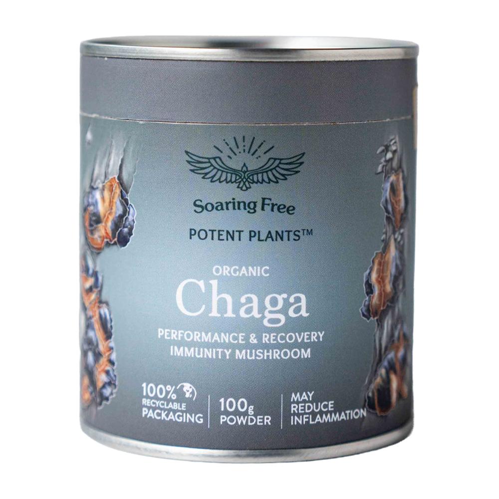 Organic Chaga Mushroom Powder - 100g
