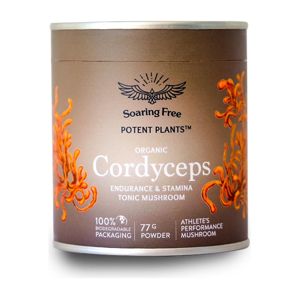 Organic Cordyceps Mushroom - 77g powder