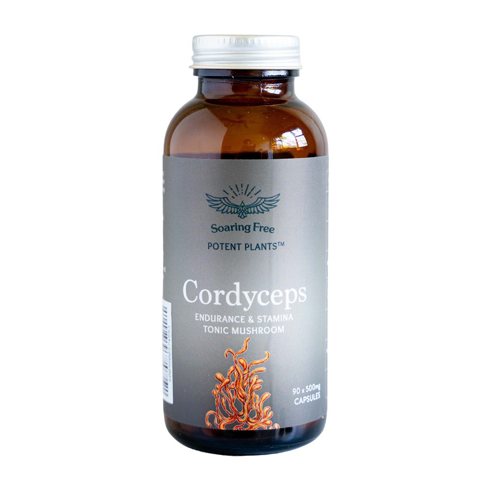 Organic Cordyceps Mushroom - 90 capsules