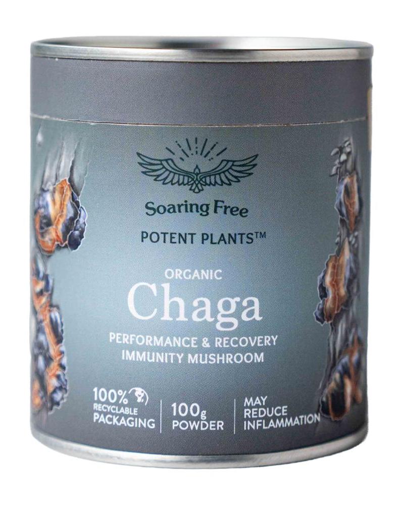 Organic Chaga Mushroom Powder - 100g