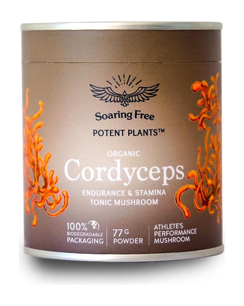 Organic Cordyceps Mushroom - 77g powder