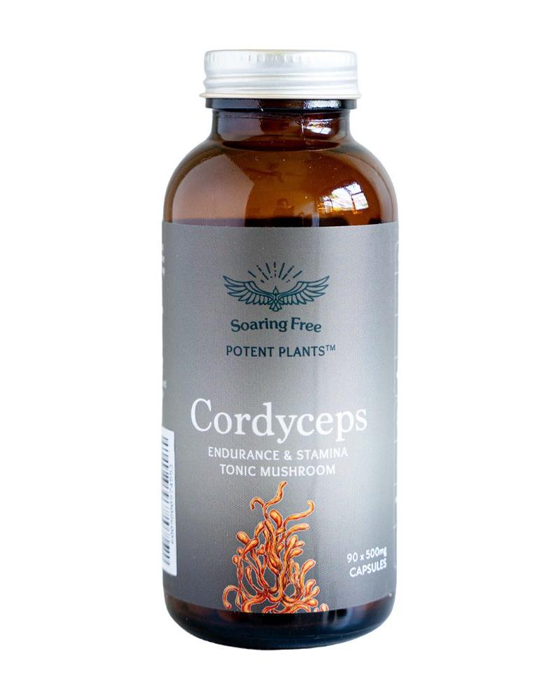 Organic Cordyceps Mushroom - 90 capsules